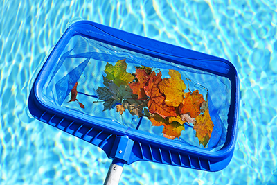 How to Maintain Your Outdoor Pool During Autumn