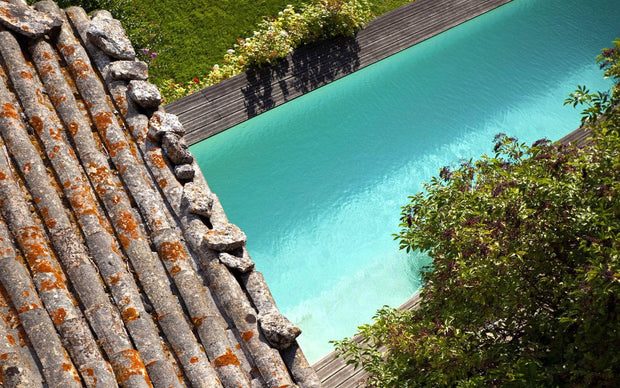 Caribbean Green