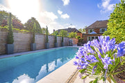 Blooming Beaconsfield Swimming Pool