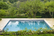 La Roche Limestone
